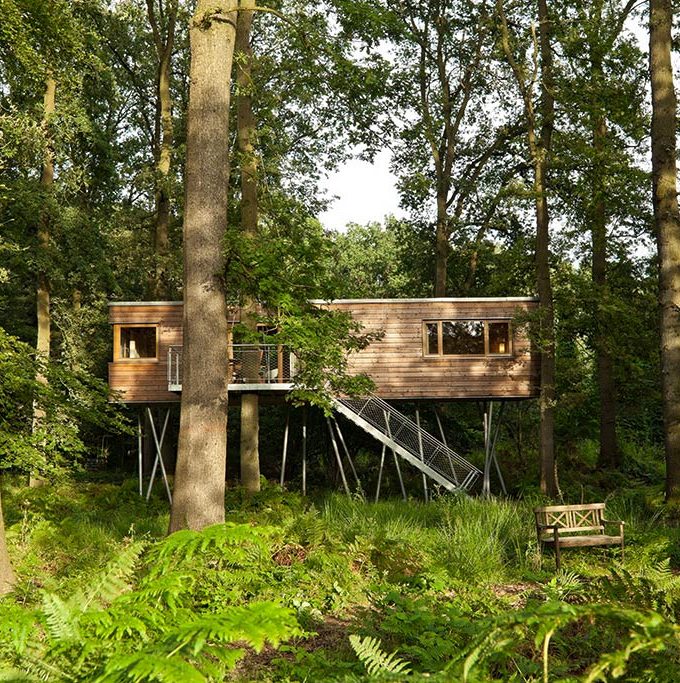 ‘Baumgeflüster’ Treehouse Hotel / Baumraum - Architecture Lab