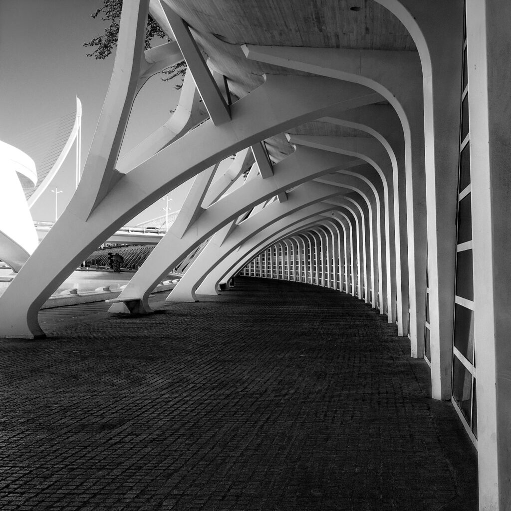 The city of arts and sciences, valencia, spain - © william warby