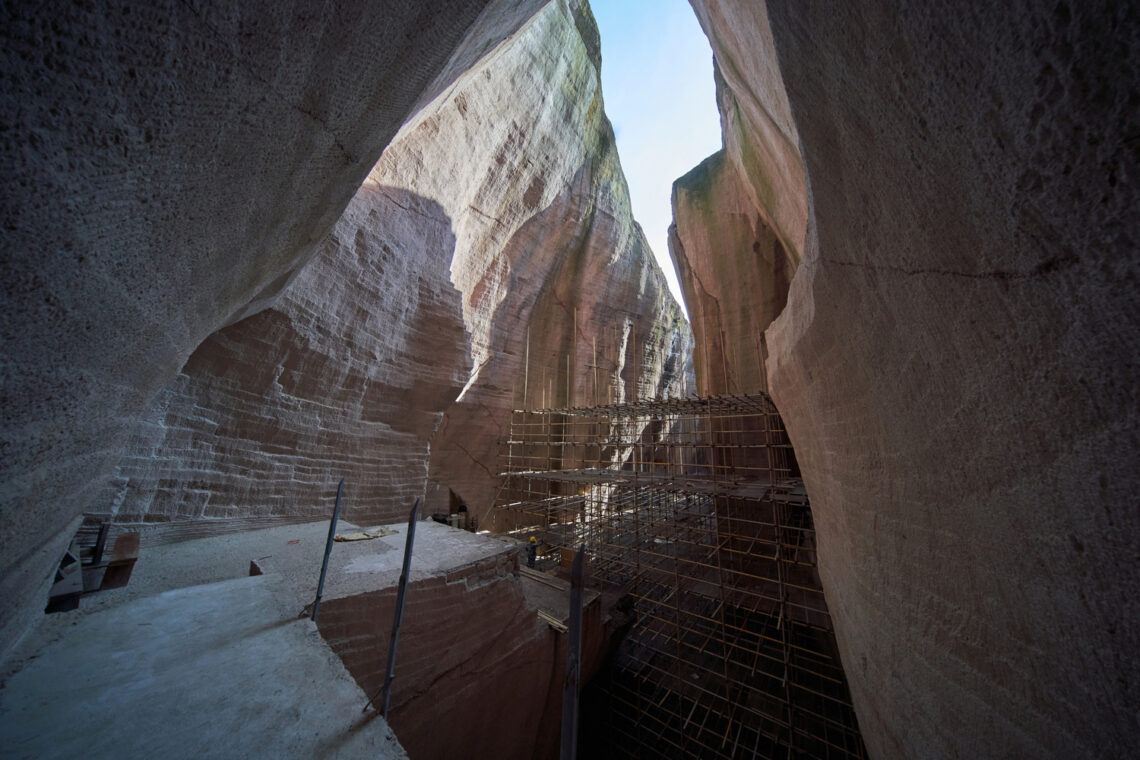 Quarry no. 8: book mountain / dna