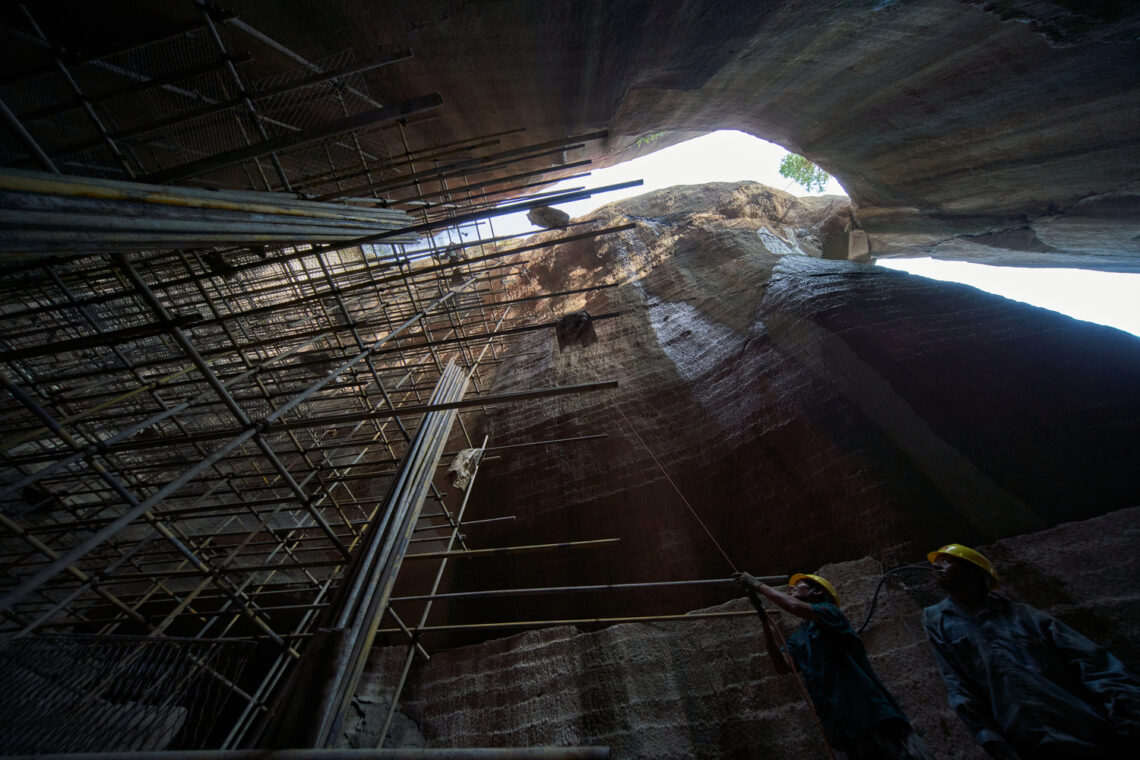 Quarry no. 8: book mountain / dna