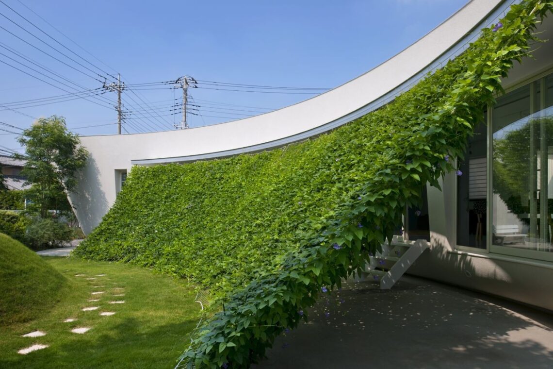 Green screen house / hideo kumaki architect office