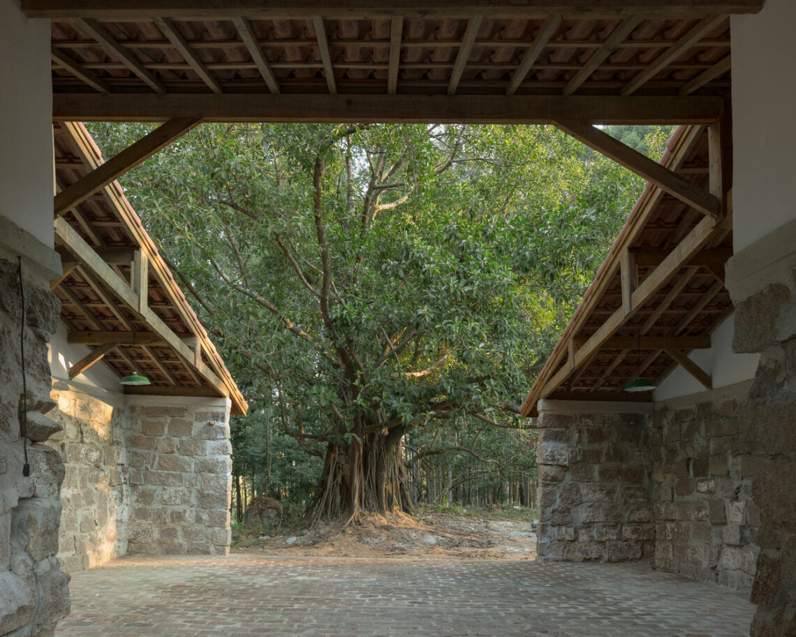 House in ruins / messina | rivas