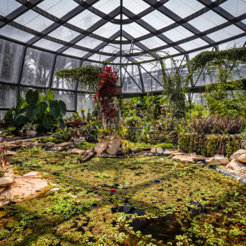 Tropicario bogotá botanic garden / darp - de arquitectura y paisaje