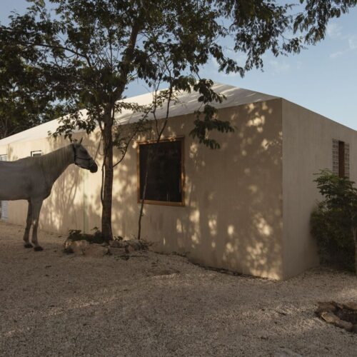 Galopina wild house / taco taller de arquitectura contextual