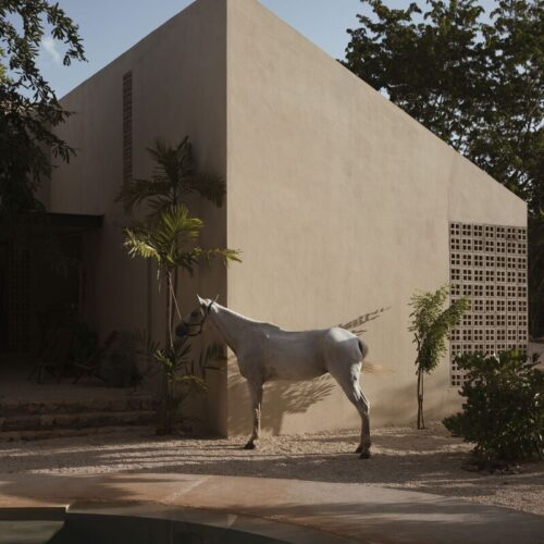 Galopina wild house / taco taller de arquitectura contextual