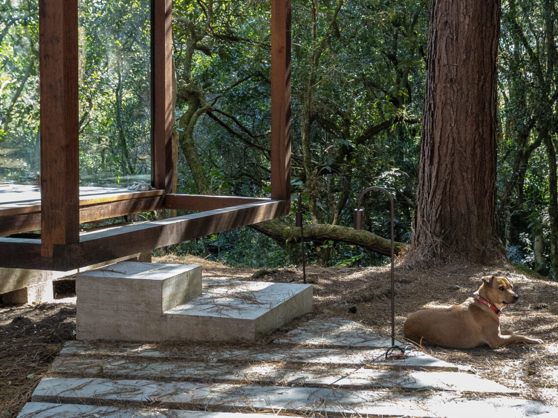 Guaju Pavilion / YVA Arquitetura