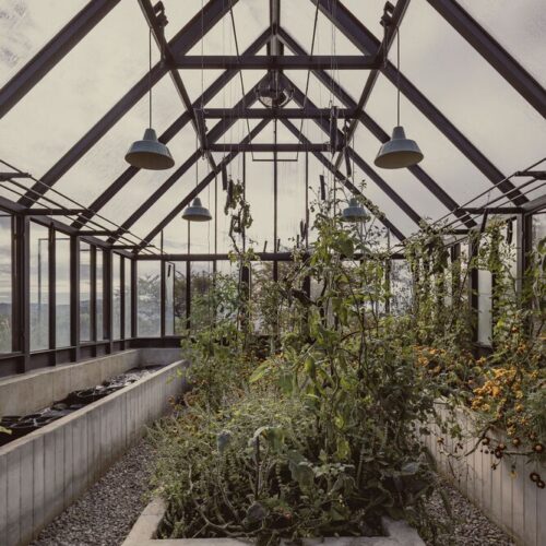 Greenhouse / coa arquitectura