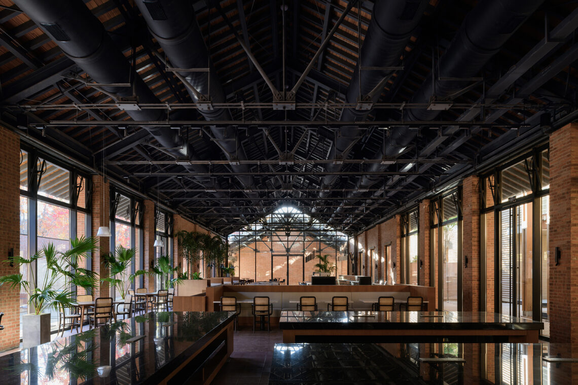 Jingyang camphor court / vector architects