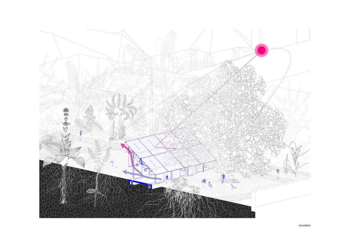 Mendel's greenhouse / chybik + kristof