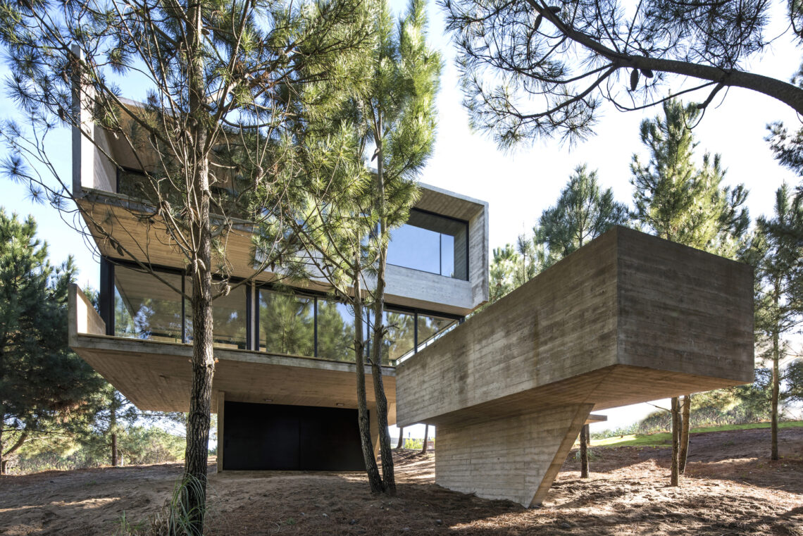 House in the trees / luciano kruk