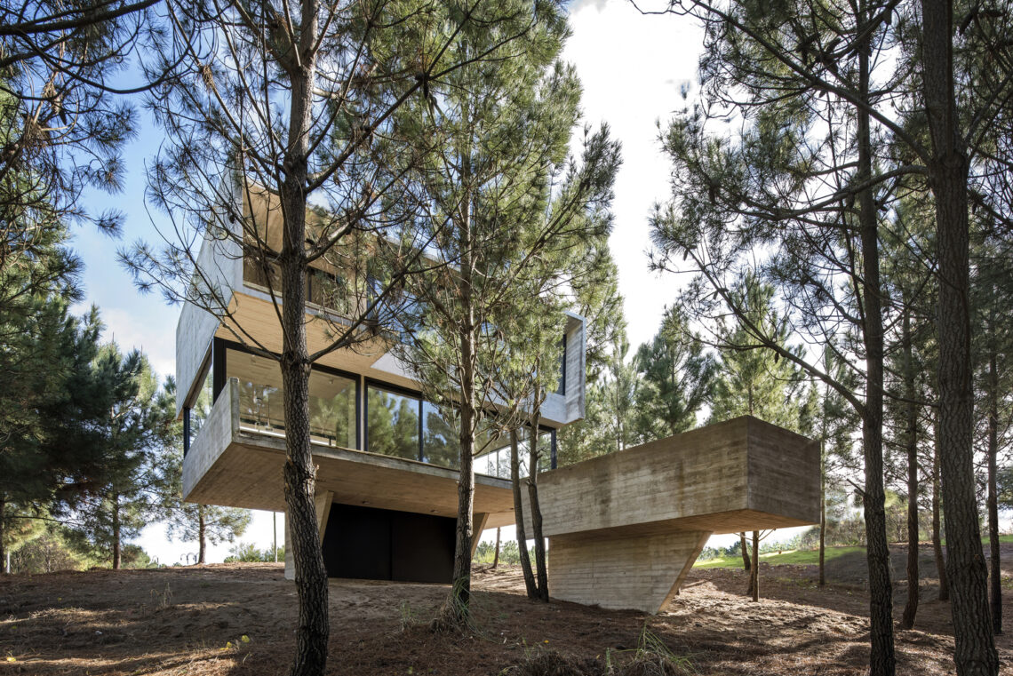 House in the trees / luciano kruk