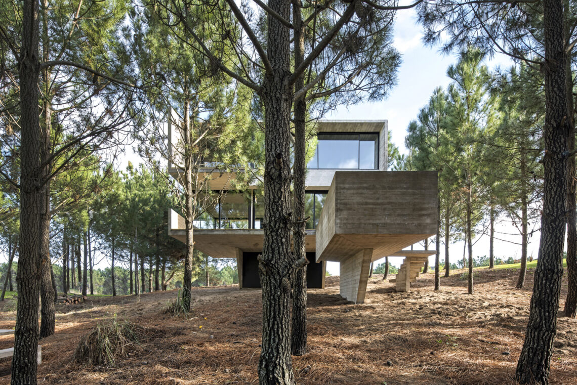 House in the trees / luciano kruk