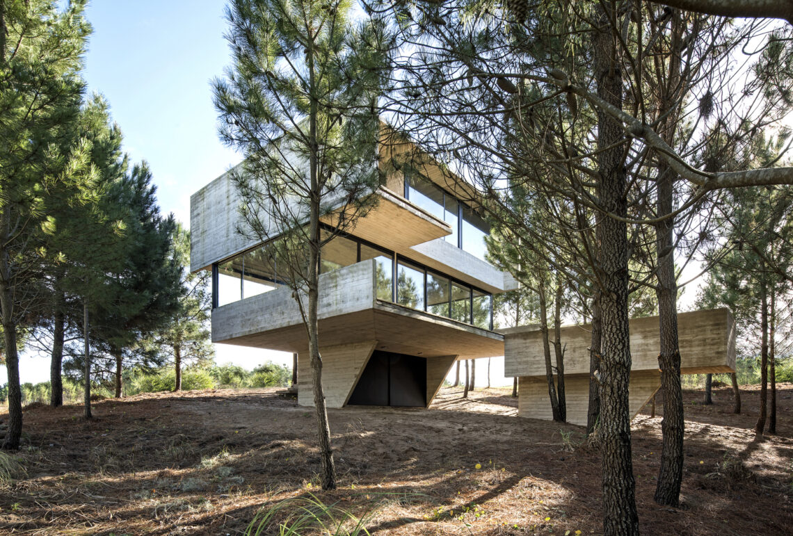 House in the trees / luciano kruk