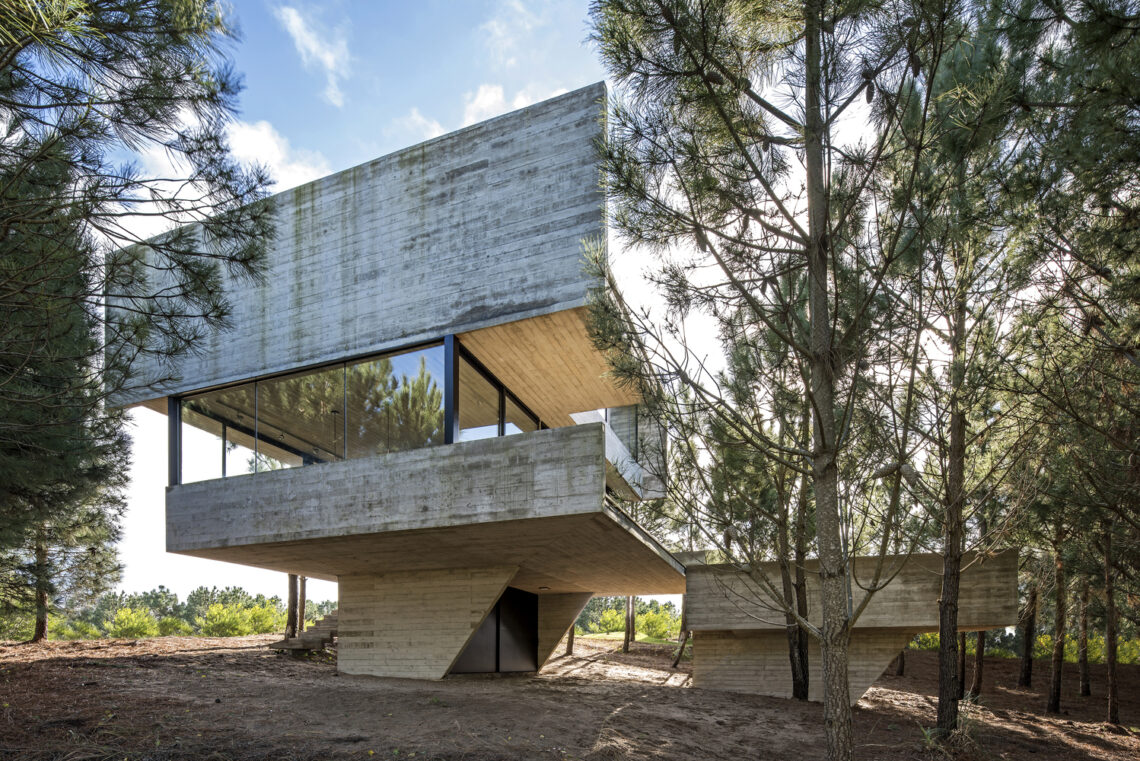 House in the trees / luciano kruk