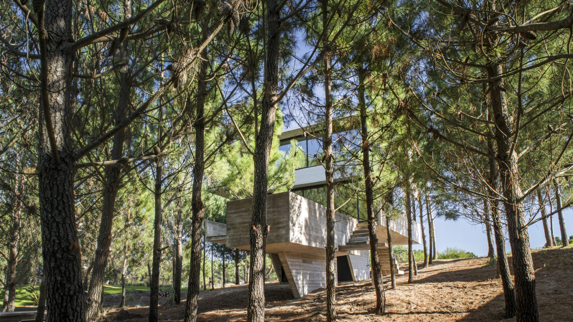 House in the trees / luciano kruk