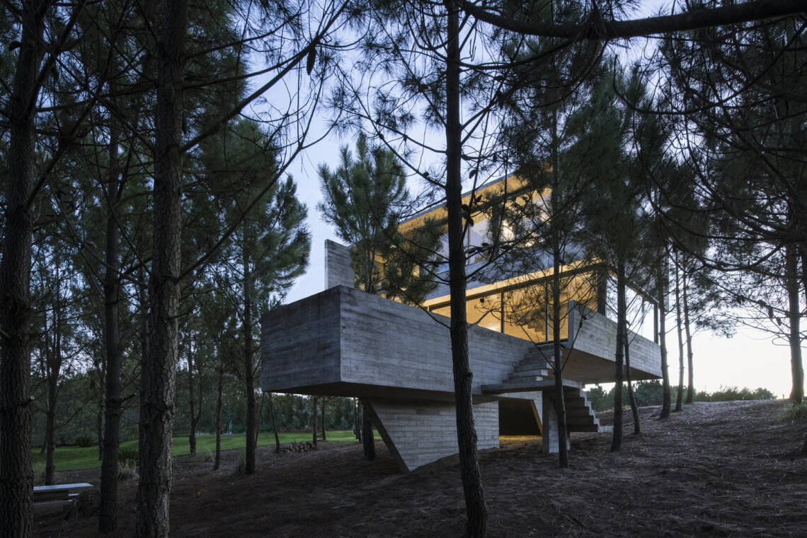 House in the trees / luciano kruk