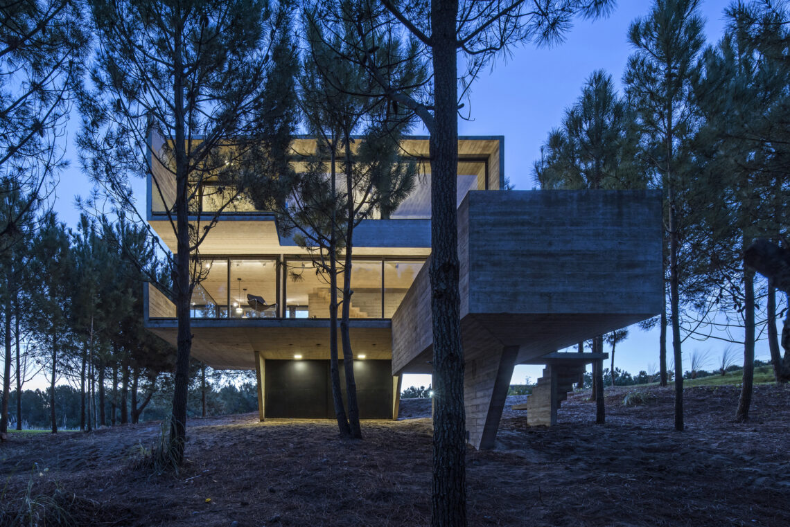 House in the trees / luciano kruk