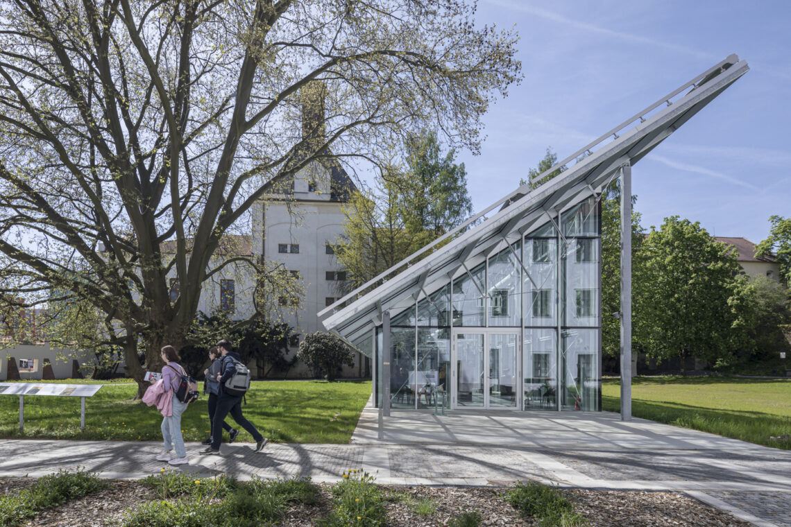 Mendel's greenhouse / chybik + kristof