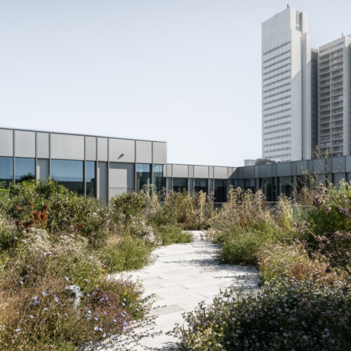 Steno diabetes center copenhagen / vilhelm lauritzen architects + mikkelsen architects + sted