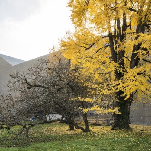 Swiss national museum extension / christ & gantenbein