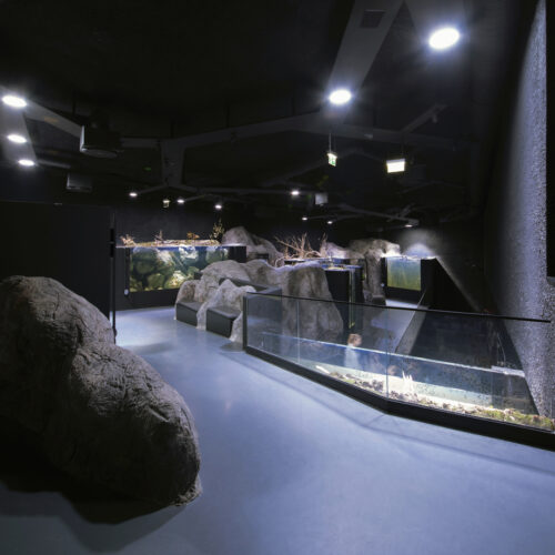 Karlovac Freshwater Aquarium and River Museum / 3LHD