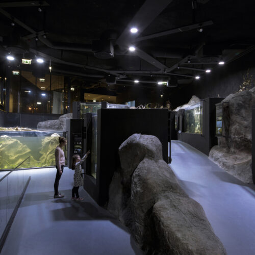 Karlovac Freshwater Aquarium and River Museum / 3LHD