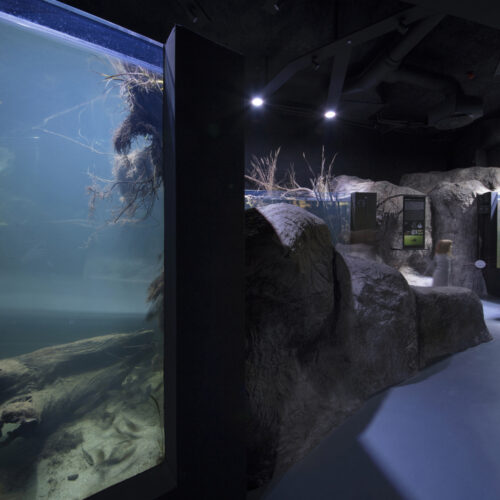 Karlovac Freshwater Aquarium and River Museum / 3LHD