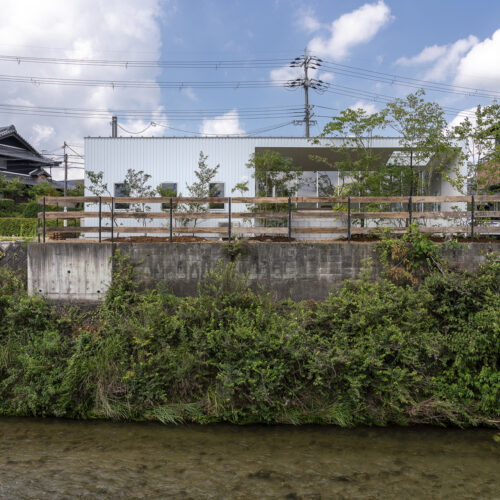 House in kawachinagano / arbol