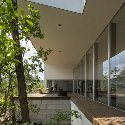 House in kawachinagano / arbol