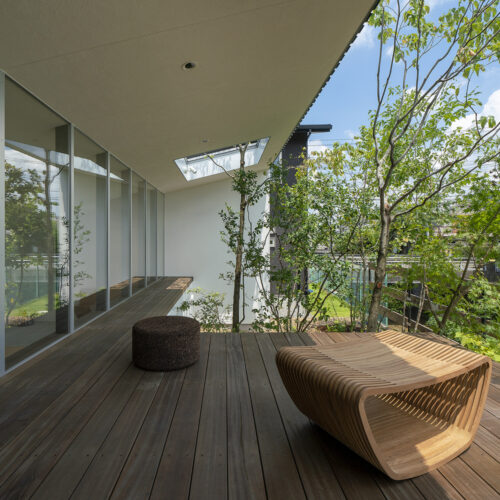 House in kawachinagano / arbol