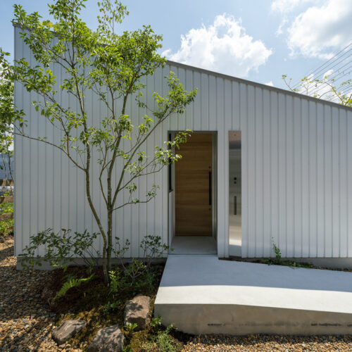 House in kawachinagano / arbol