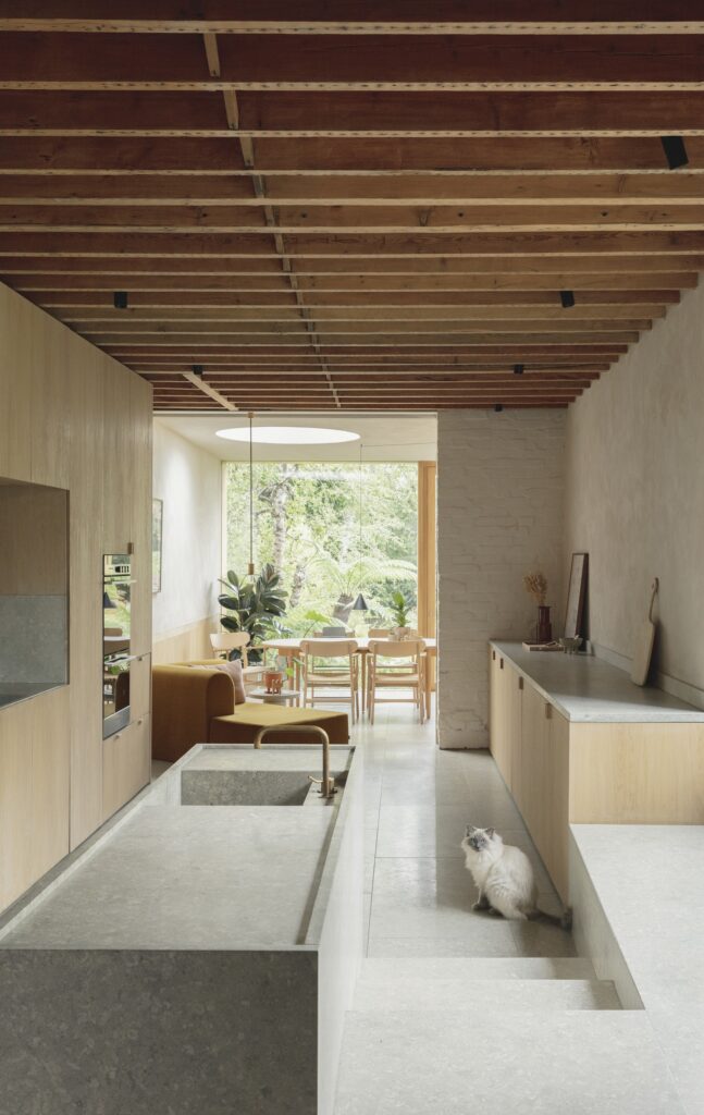 Low Energy House / Architecture for London