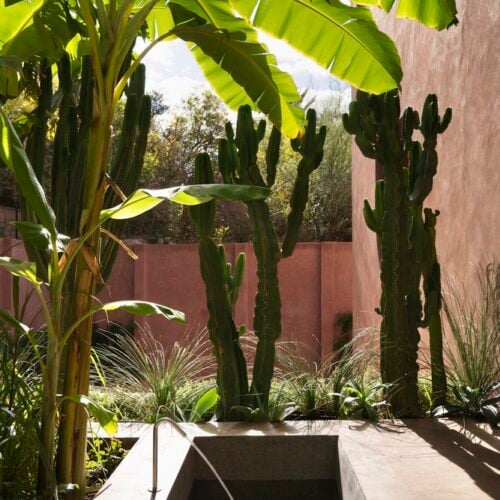 Maison Brummell Majorelle / Bergendy Cooke