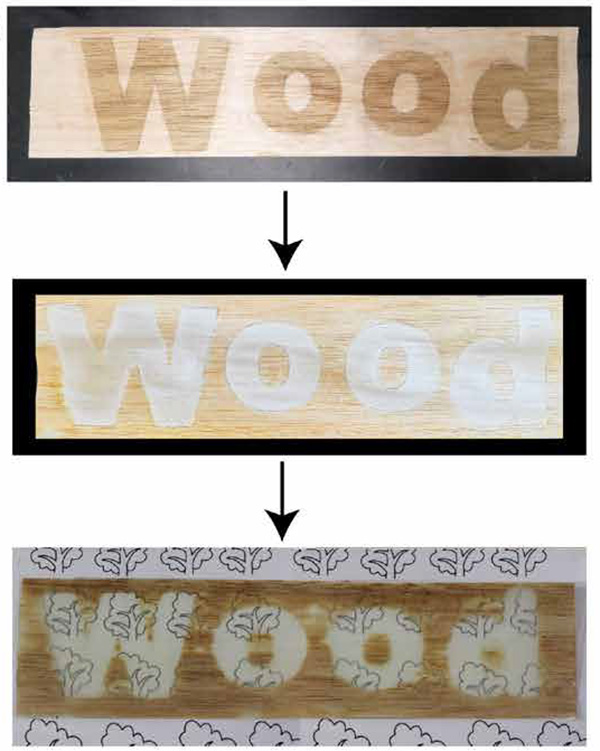 Transparent Wood: A Revolutionary Material for Multiple Applications