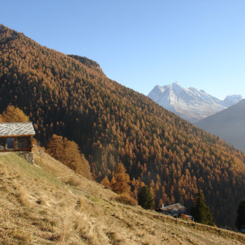 Shelter in the swiss alps / personeni raffaele schärer architectes