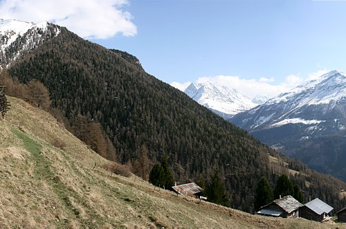 Shelter in the swiss alps / personeni raffaele schärer architectes