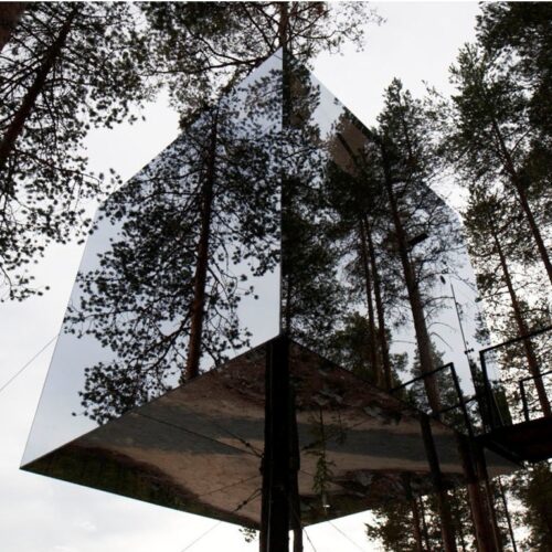 Tree hotel / tham & videgård arkitekter