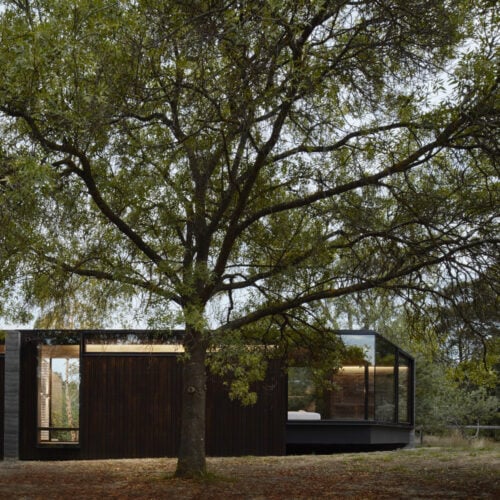 Pavilion Between Trees / Branch Studio Architects