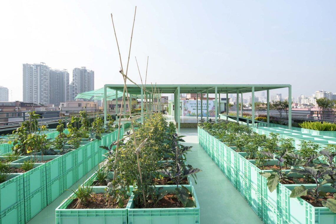 Co-build roof garden "green cloud garden" / 11architecture