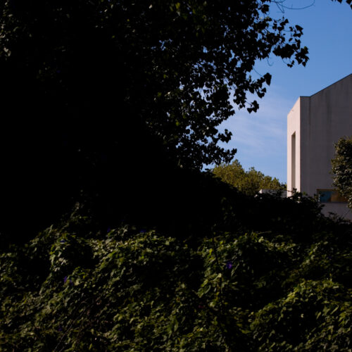 Exploring the University of Porto's Faculty of Architecture Through Álvaro Siza's Design, Captured by Fernando Guerra