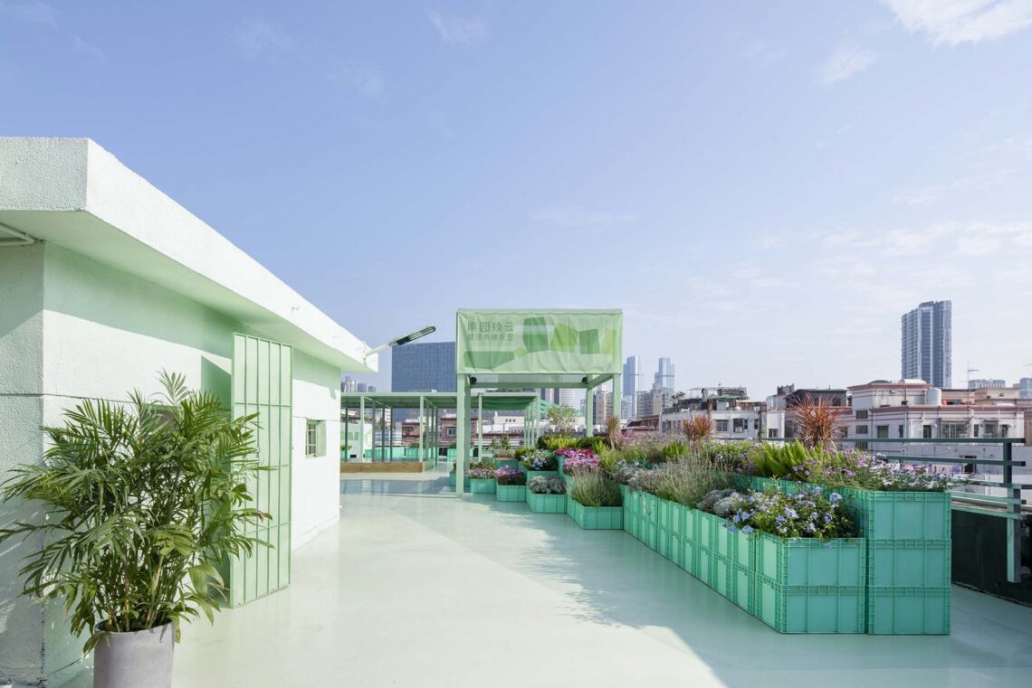 Co-build roof garden "green cloud garden" / 11architecture