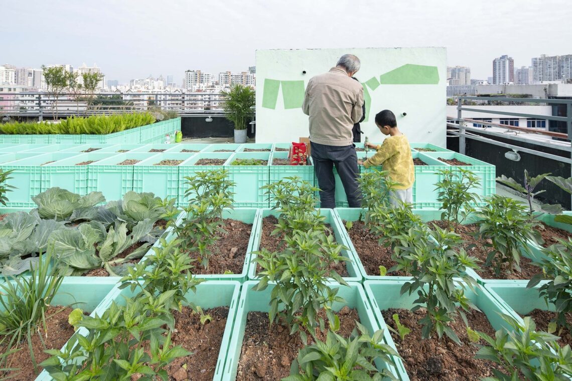 Co-build roof garden "green cloud garden" / 11architecture