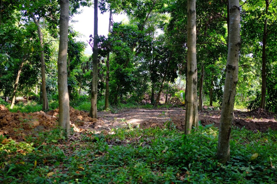 Pavilion in the forest / bansong studio