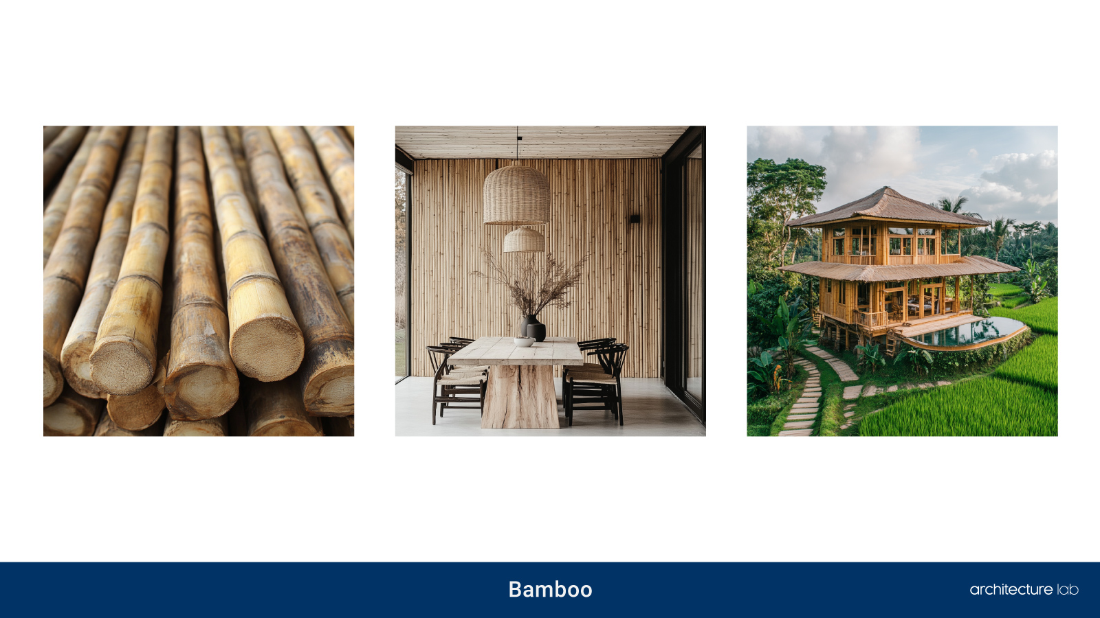 04. Bamboo