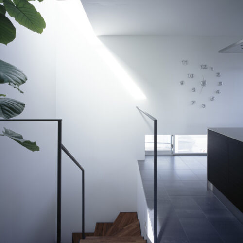 Gaze / APOLLO Architects & Associates