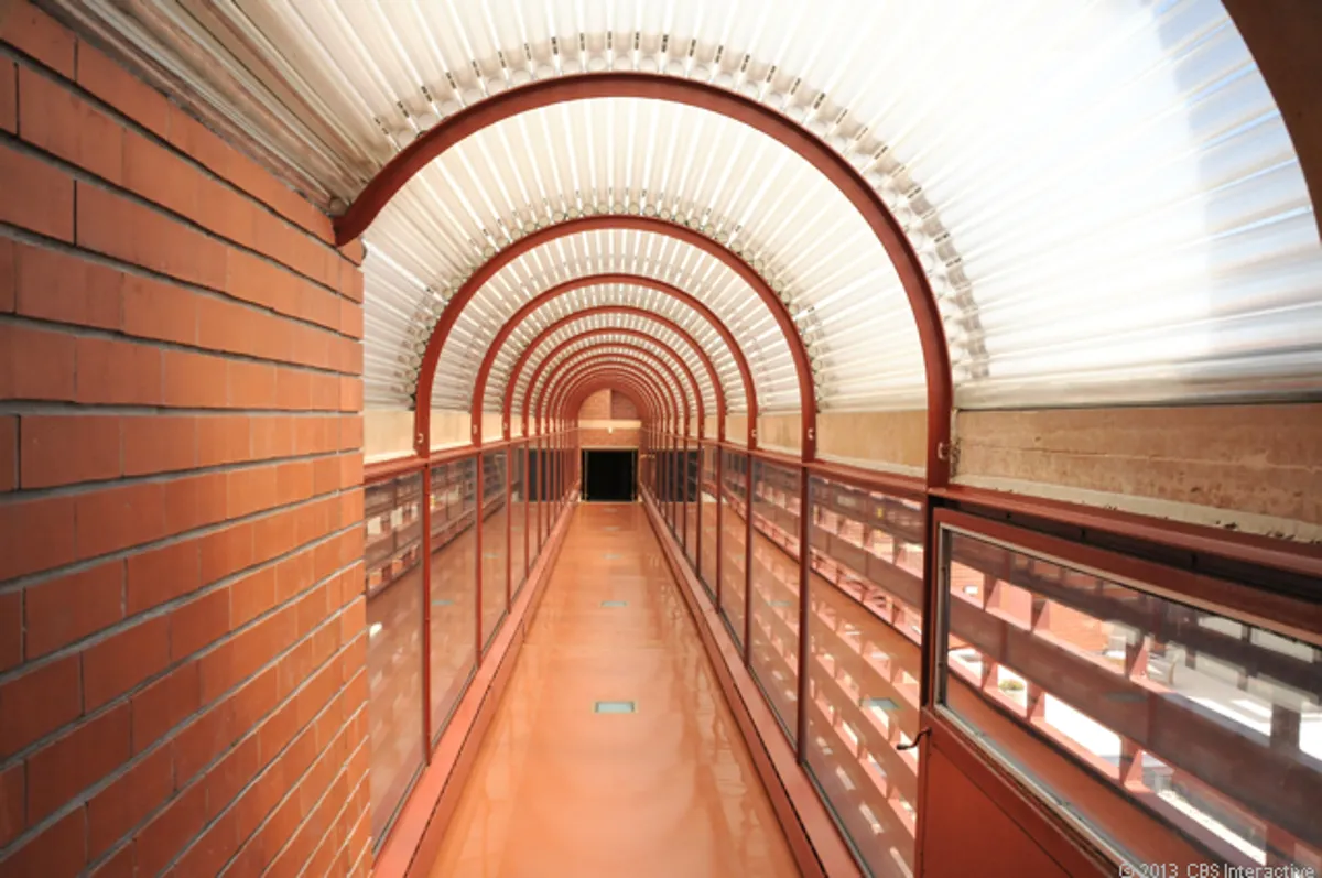 Frank Lloyd Wright's Architectural Feat: Supporting 60 Tons on A Lily Pad Columns at SC Johnson Headquarters