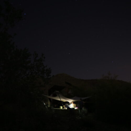 Frank Lloyd Wright Architecture School Students Build 'Survival Cabins' at Taliesin West