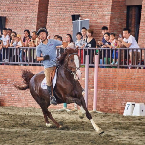 Equestrian Center in Luxelakes Eco-City / Chengdu Wide Horizon Investment Group