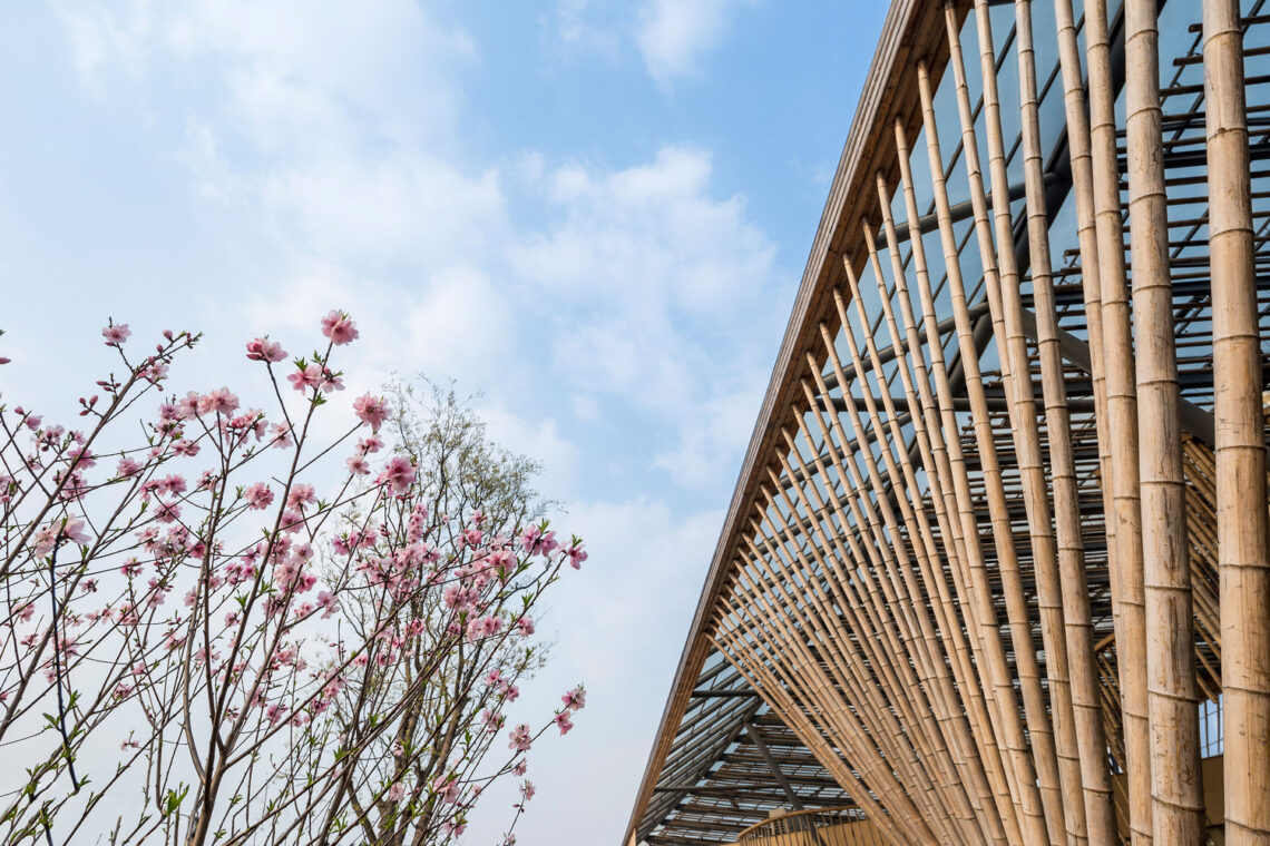 New Pastoralism Lecture Hall / SYN Architects China